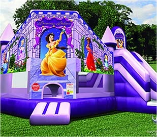 5 in 1 Combo Rentals