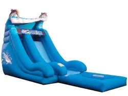 20' Giant Dolphin Wet Slide