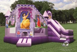 Princess Palace Bounce House/Slide Combo