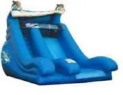 20' Giant Dolphin Dry Slide