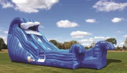 Wild Waves Dry Slide 19'