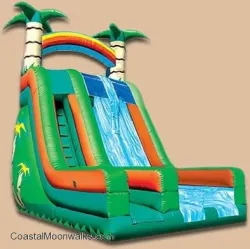 temp img 1 jpeg 4891486 24' 2 Lane Slide Slip Slide in Pool